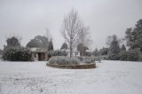 snow_pictures