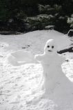 snow_pictures