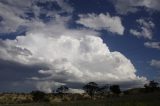 cumulonimbus_calvus