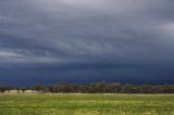 shelf_cloud