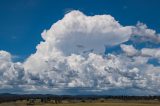 pileus_cap_cloud