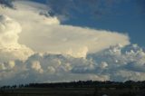 cumulonimbus_incus