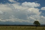 cumulonimbus_incus