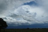 pileus_cap_cloud