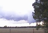 Corowa Funnel picture