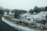 snow_pictures