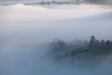 fog_mist_frost