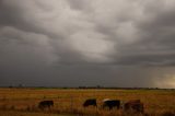 Australian Severe Weather Picture