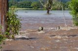 26th January 2012 Lismore flood pictures