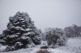 Australian Severe Weather Picture