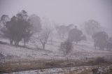 Australian Severe Weather Picture