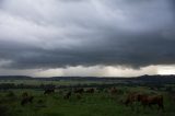 Australian Severe Weather Picture