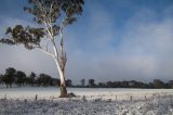 Weather Photo