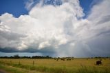 Australian Severe Weather Picture