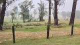 Australian Severe Weather Picture