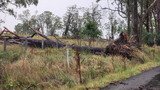 Australian Severe Weather Picture