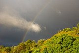 Weather Photo