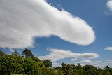 Weather Photo
