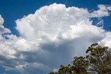 Weather Photo