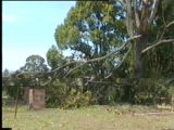Video Capture of Damage at Tuckurimba