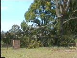 Video Capture of Damage at Tuckurimba