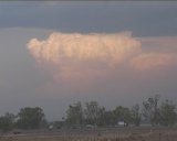 N of Gunnedah