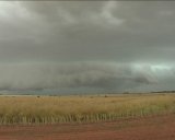 Supercells and Microburst South West Slopes - NSW : November 21 2003